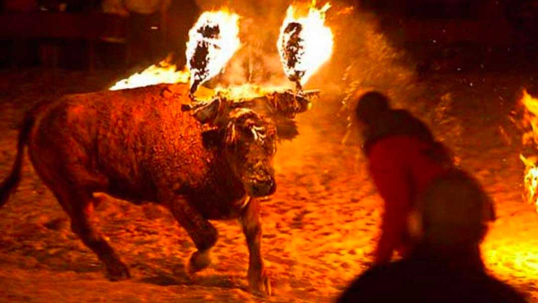 Toro Jubilo la fête espagnole qui consiste à brûler un taureau apeuré