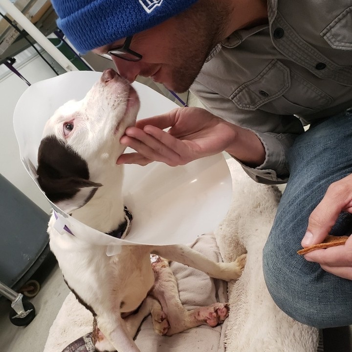 l'homme a adopté le chien qu'il a sauvé après l'enquête pour maltraitance animale