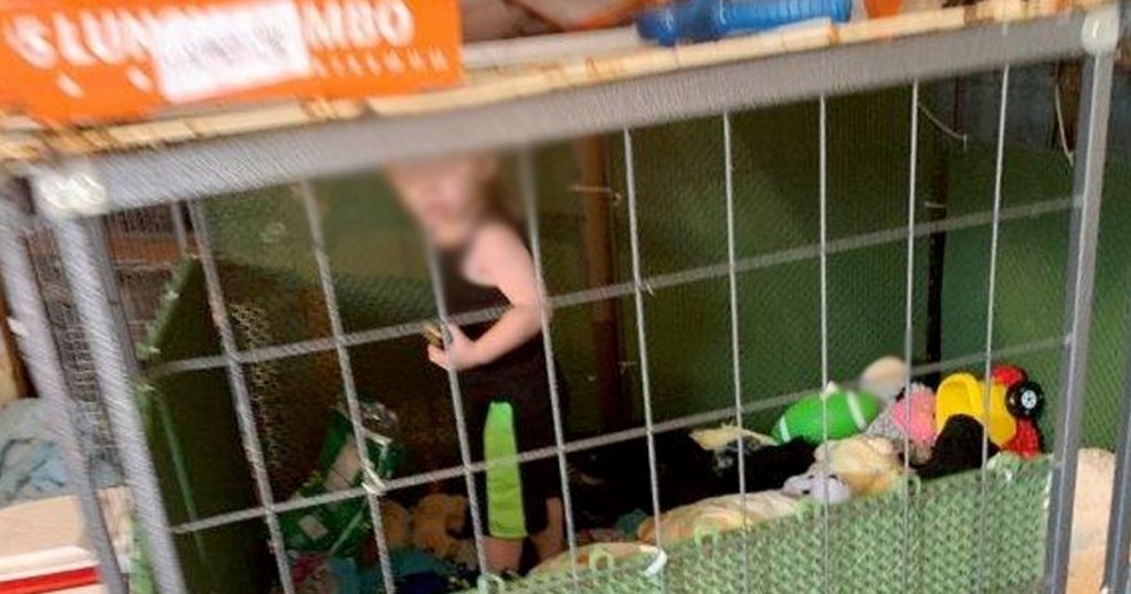 enfant mis en cage avec les animaux chenil clandestin
