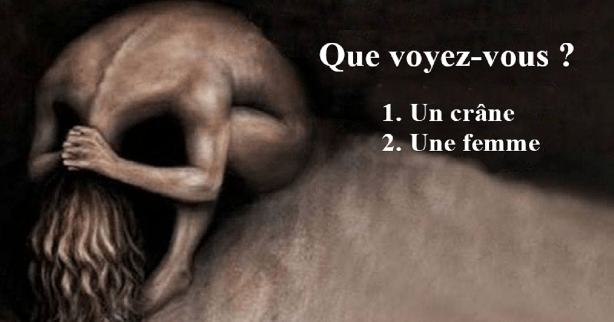 Se Dit De Celui Qui Possède Un Fief