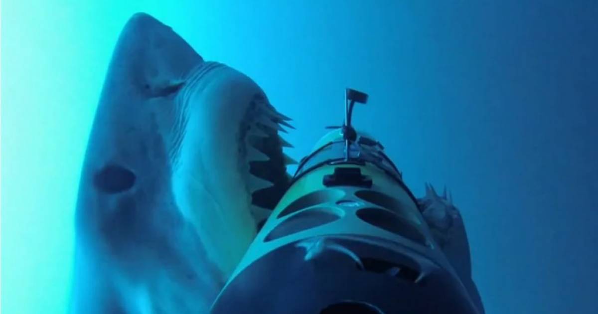Le requin blanc passant à l'attaque sur le REMUS-100.
