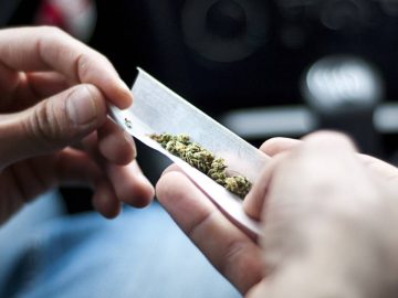 Un conducteur fumant du cannabis au volant.