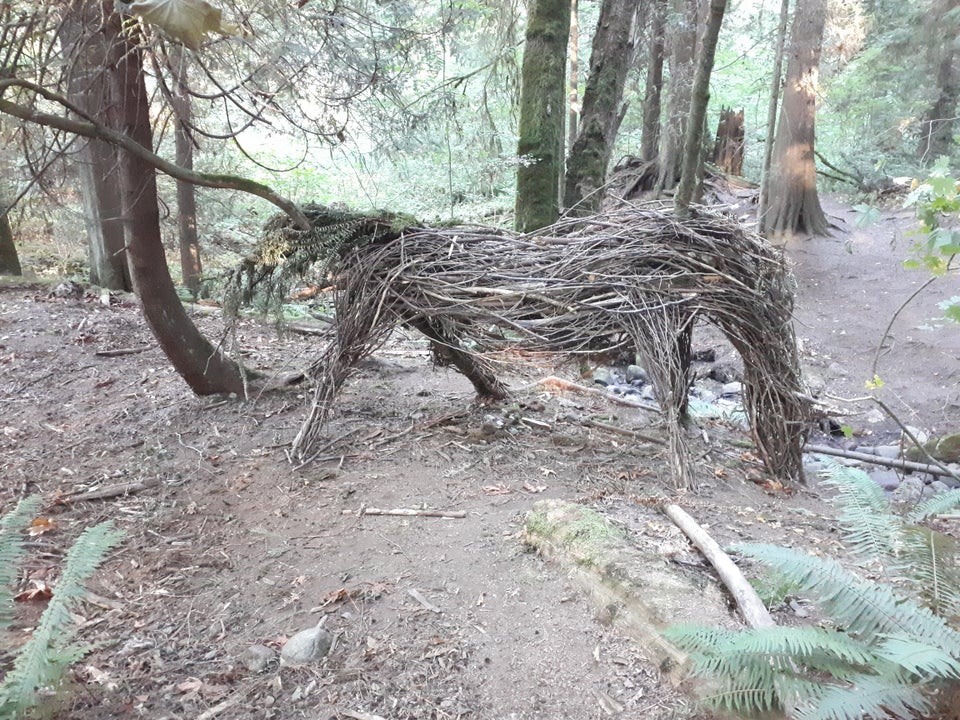 promenades forêts découvertes étonnantes
