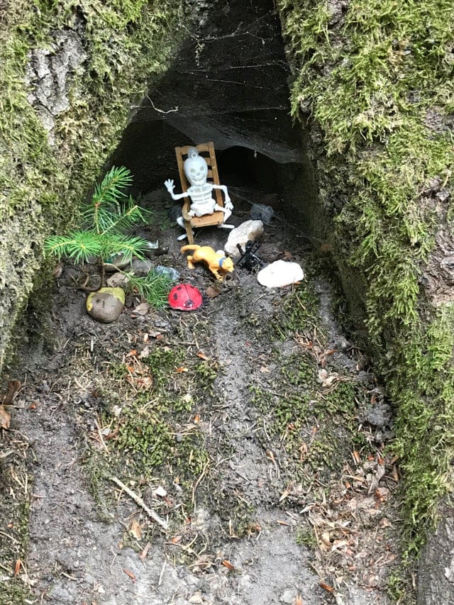 promenades forêts découvertes étonnantes
