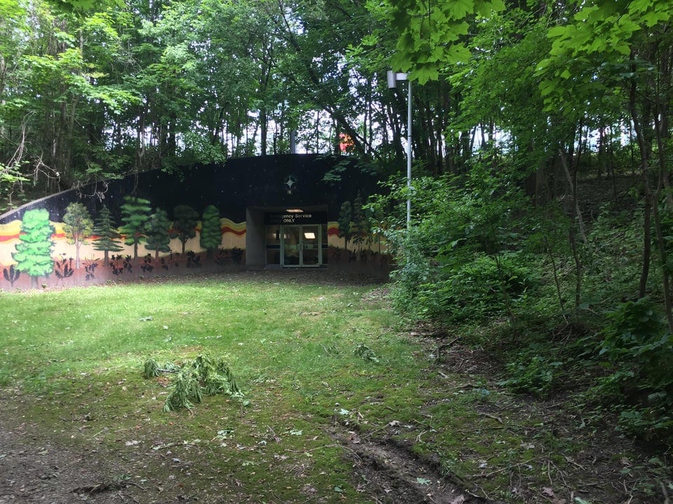 promenades forêts découvertes étonnantes