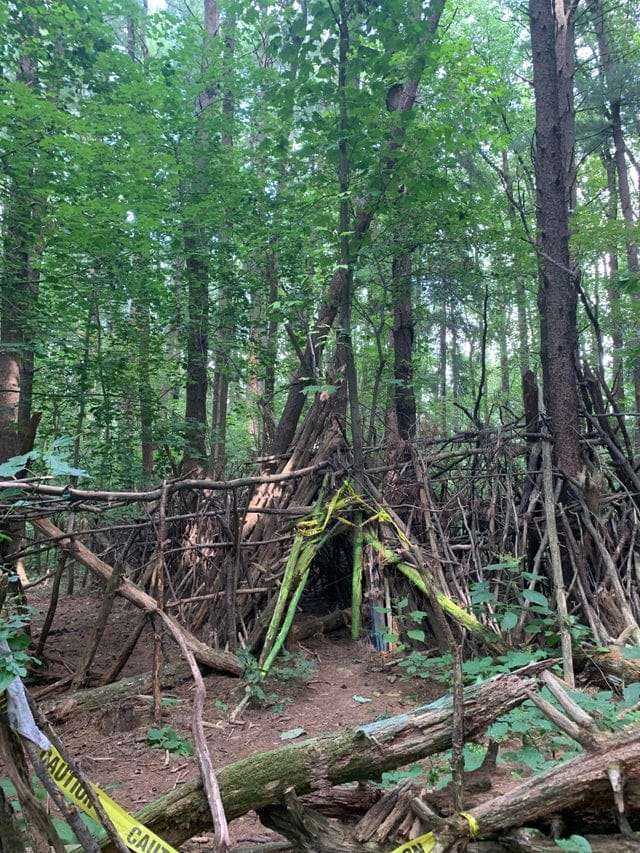 promenades forêts découvertes étonnantes