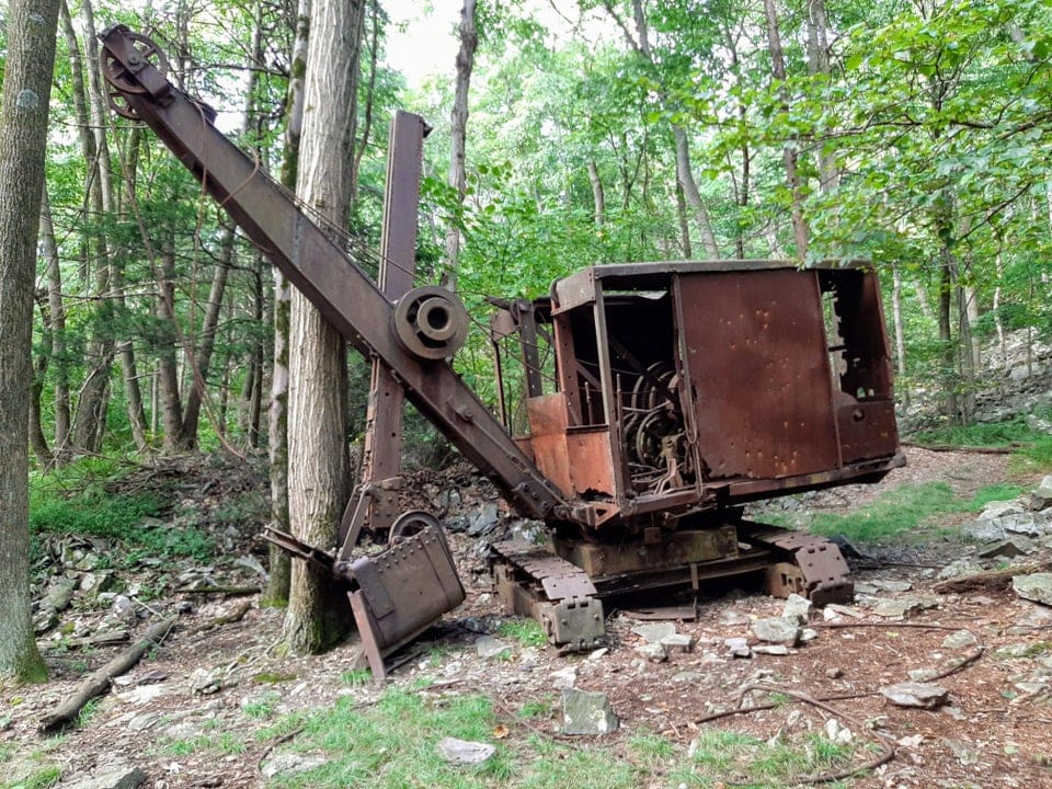 promenades forêts découvertes étonnantes