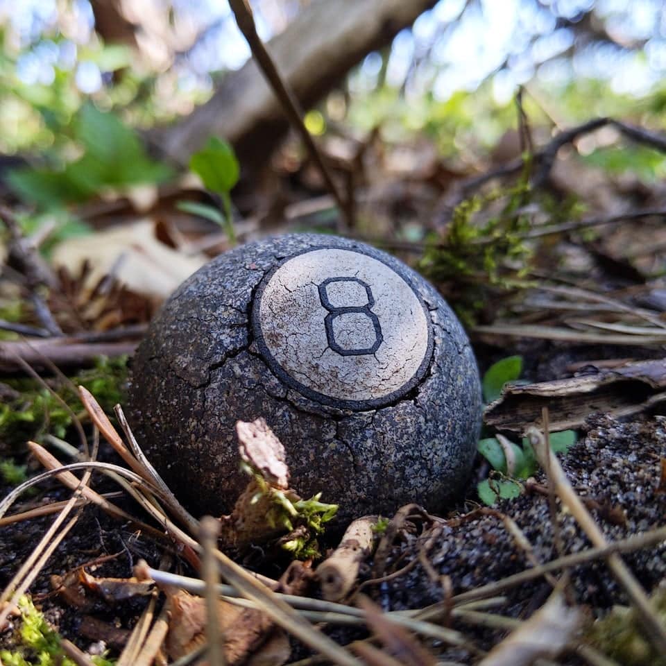 promenades forêts découvertes étonnantes