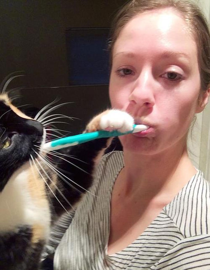 chats intrusion vie privée maîtres