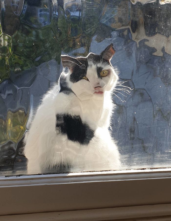 chats intrusion vie privée maîtres
