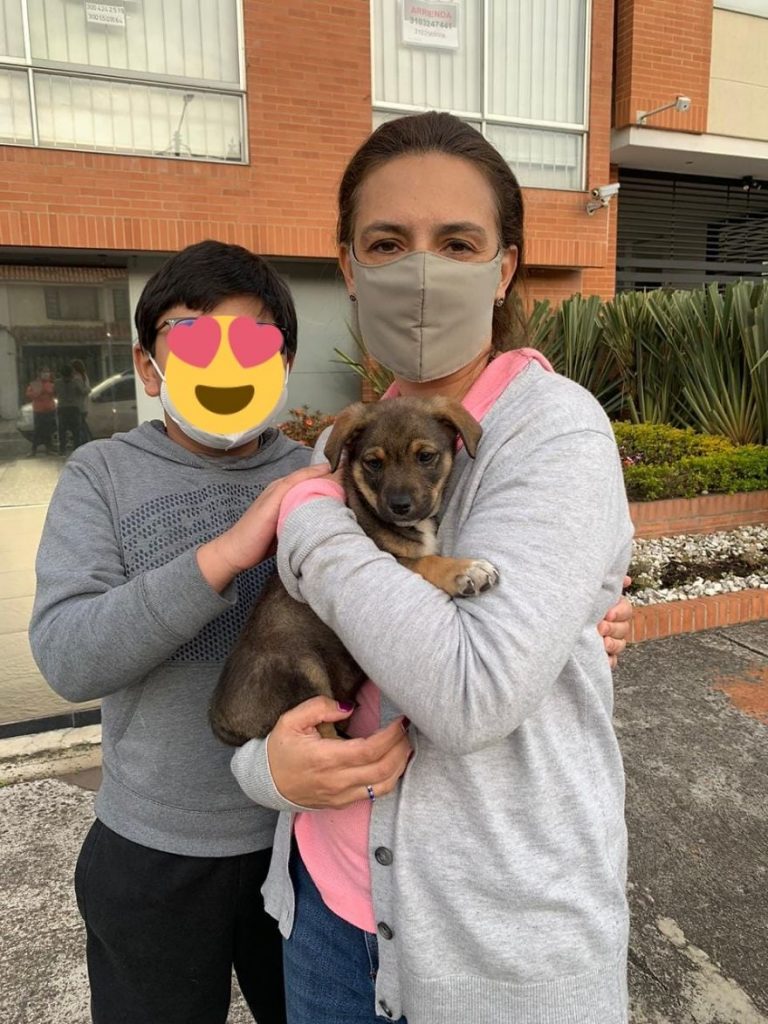 La nouvelle famille pour le chiot à l'adoption