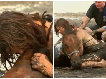 Nicole Graham avec son cheval Astro, pris dans les sables mouvants en Australie.