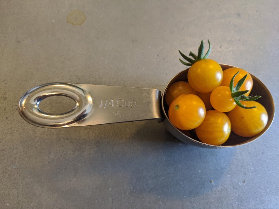 récolte jardin fruits légumes miniatures tomates