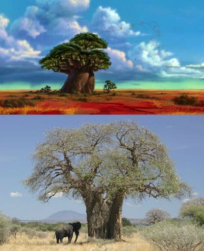 L'arbre de vie de Rafiki et le dessin animé le roi lion