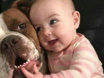 Un bébé avec son chien