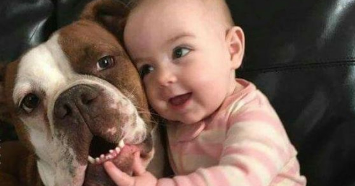 Un bébé avec son chien