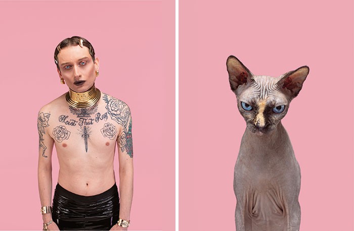 Un homme tatoué et un chat sphynx