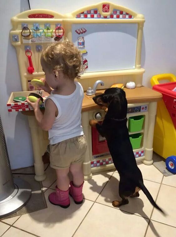 Un enfant joue avec un chien
