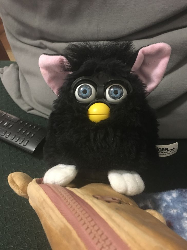 Furby Gizmo