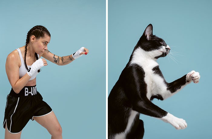 Une femme boxeuse et son chat noir et blanc
