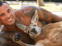Pompier australien avec un kangourou