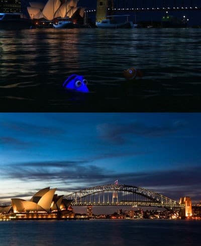 Le monde de Nemo et Port Jackson à Sydney