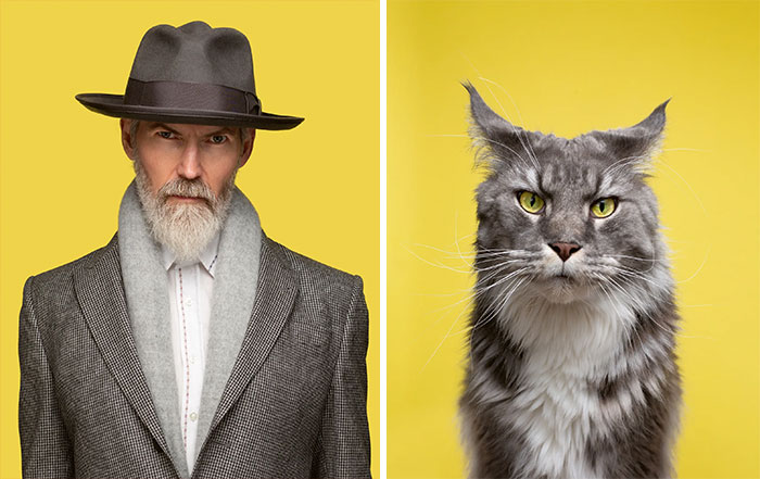 Un homme et son chat gris
