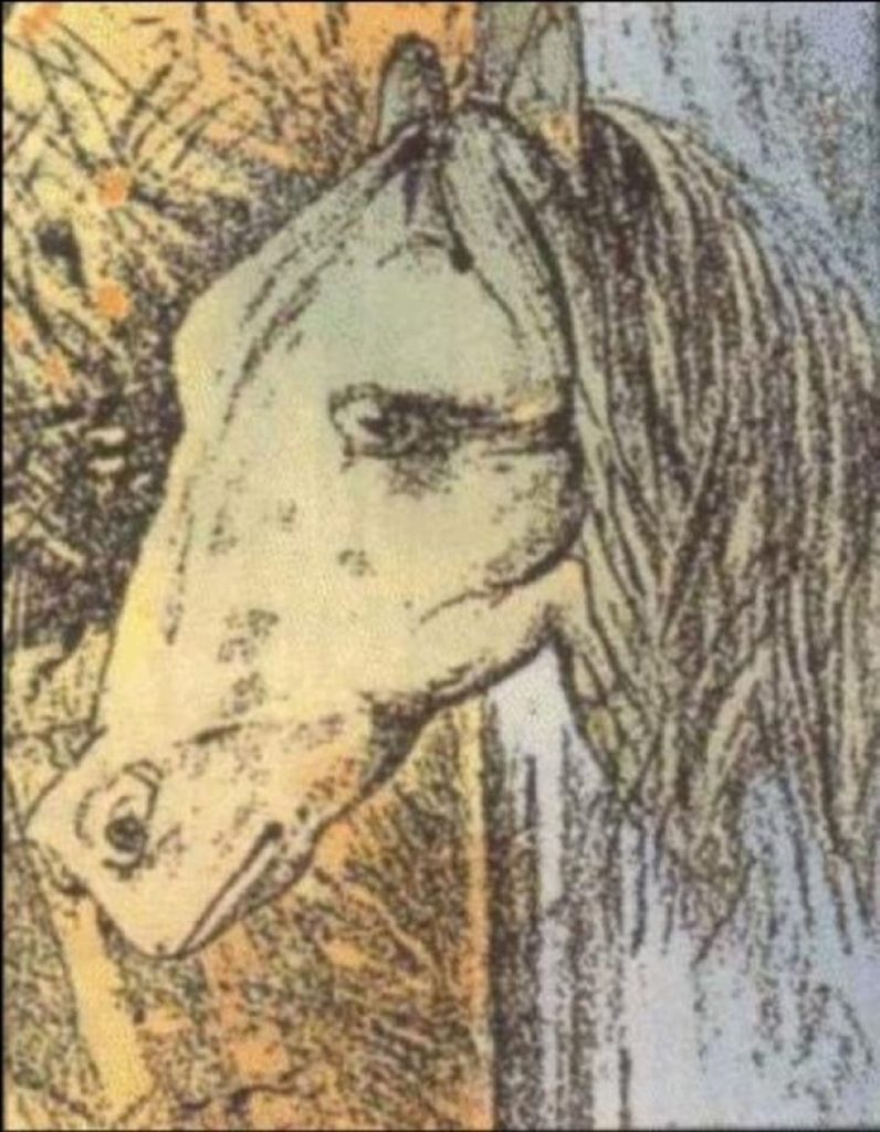 illusion d'optique cheval