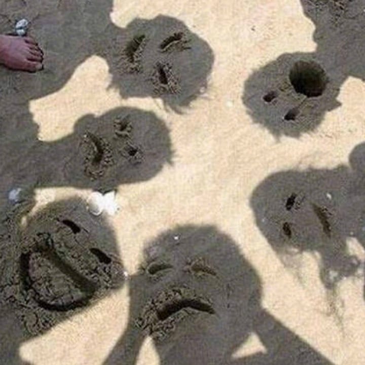 Une photo drôle à la plage
