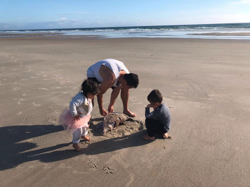 Famille découvre méduse mystérieuse Nouvelle-Zélande