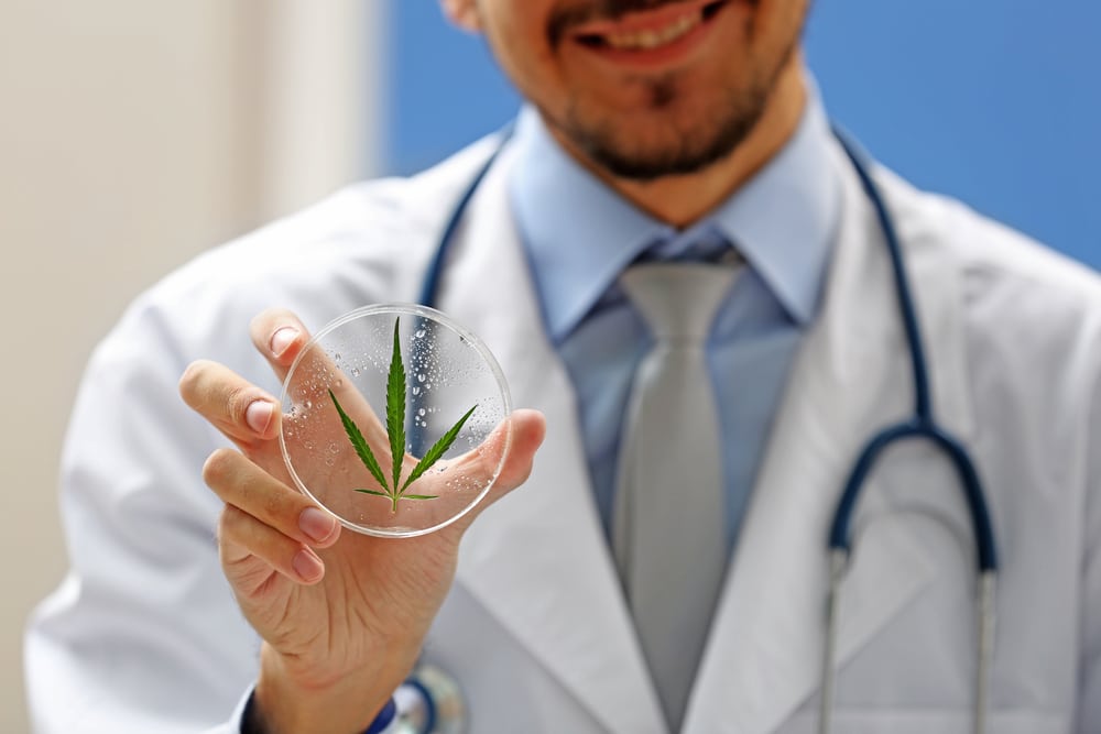 Le cannabis reconnu pour son utilité médicale.