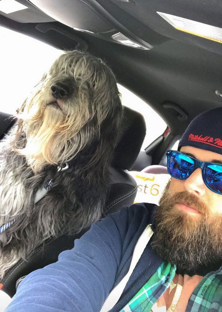 Chiens de compagnie géants taille hors-normes