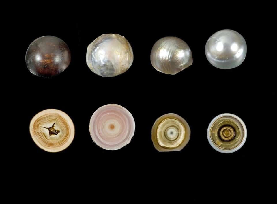 vue de l'intérieur objets créatures banals deviennent extraordinaires perles naturelles