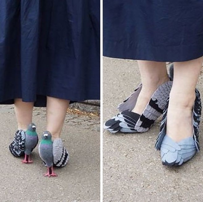 des chaussures pigeons