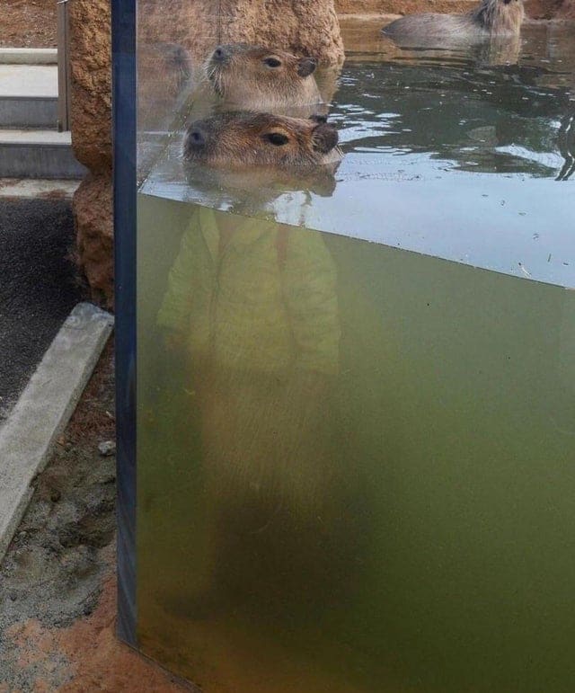Une illusion d'optique en photo
