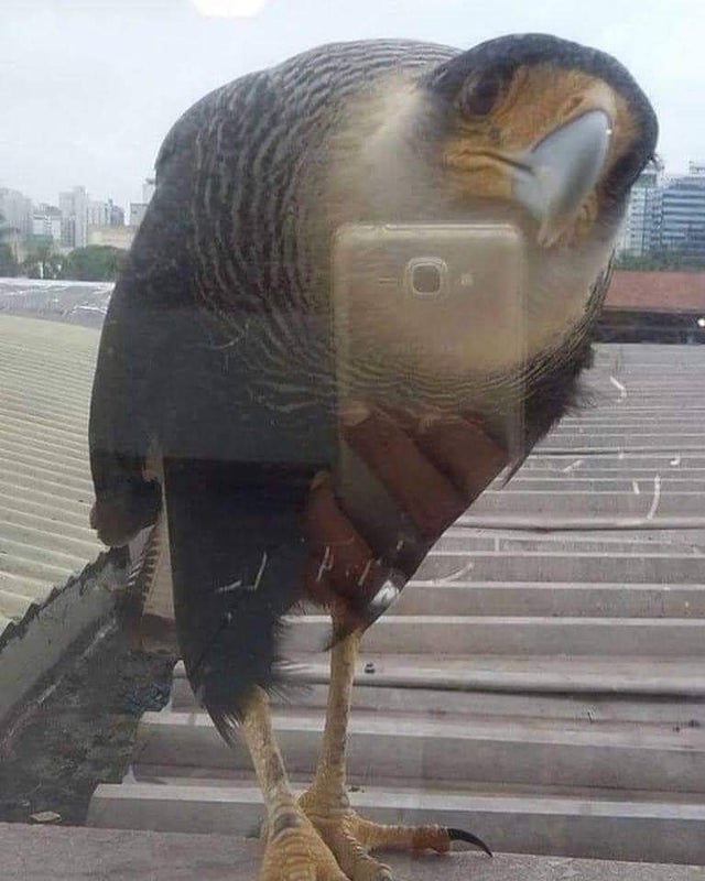 Une illusion d'optique en photo