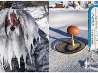 Photos de grand froid : un homme recouvert de glace et un oeuf gelé