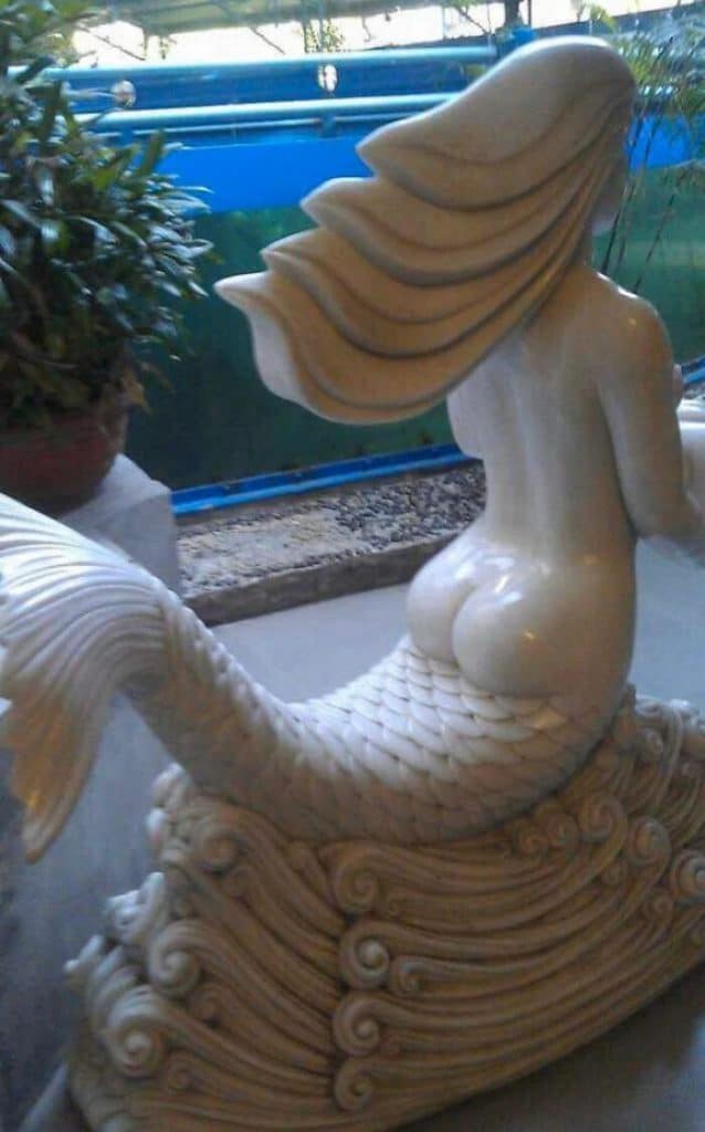 sirene avec derrière