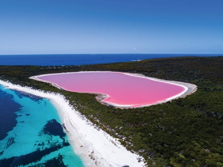 australie photos incroyables entre beauté et bêtes 