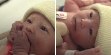 Misha, premier bébé né par greffe d'utérus