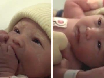 Misha, premier bébé né par greffe d'utérus