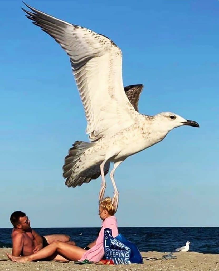 Photo d'illusion d'optique