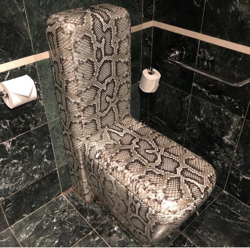 toilettes en peau de serpent