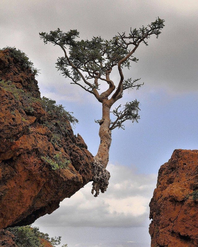 Photo de la nature