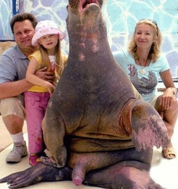Photo de famille étrange et malaisante