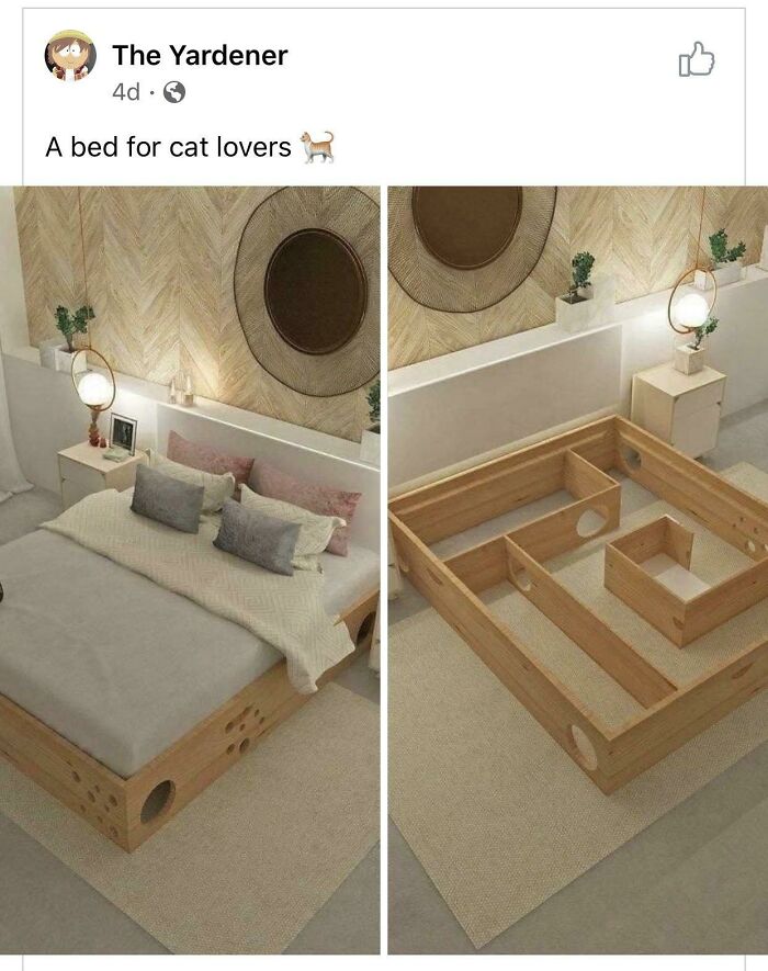 Une invention débile : un lit-labyrinthe pour chat