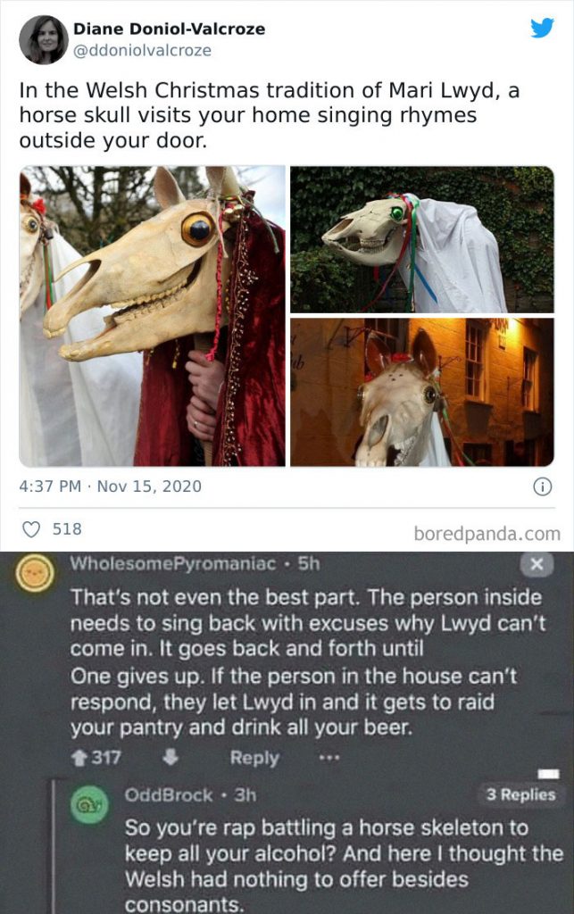 un crâne de cheval
