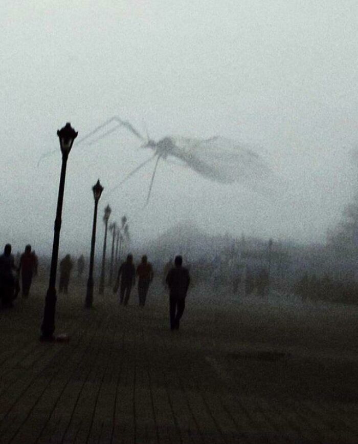un moustique passe devant la caméra