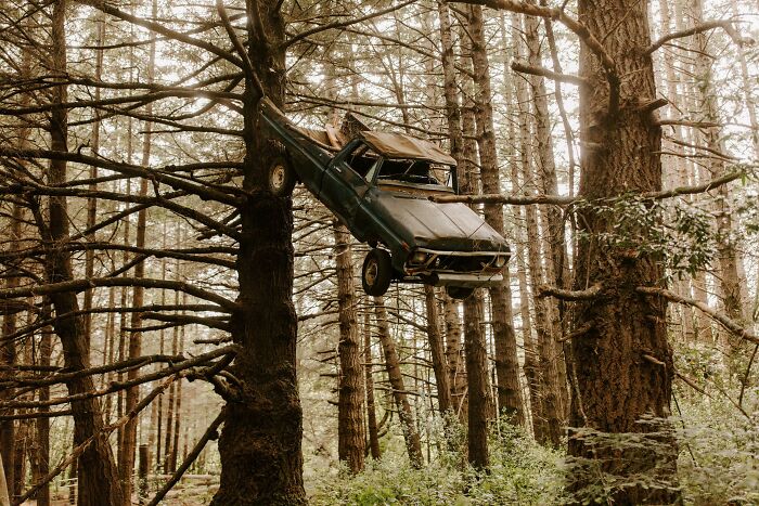 une vieille voiture dans les arbres
