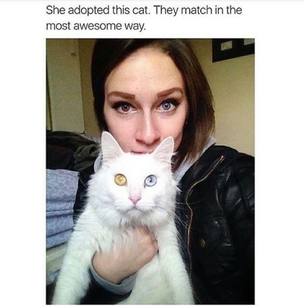 Une femme et son chat aux yeux vairons